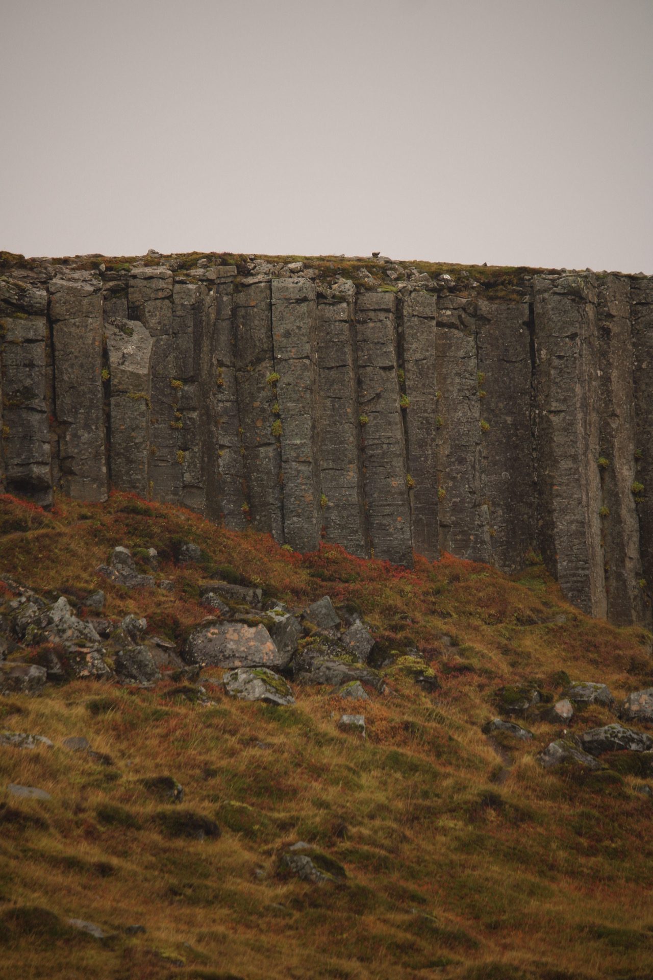 Gerðuberg Basalt Cliffs
