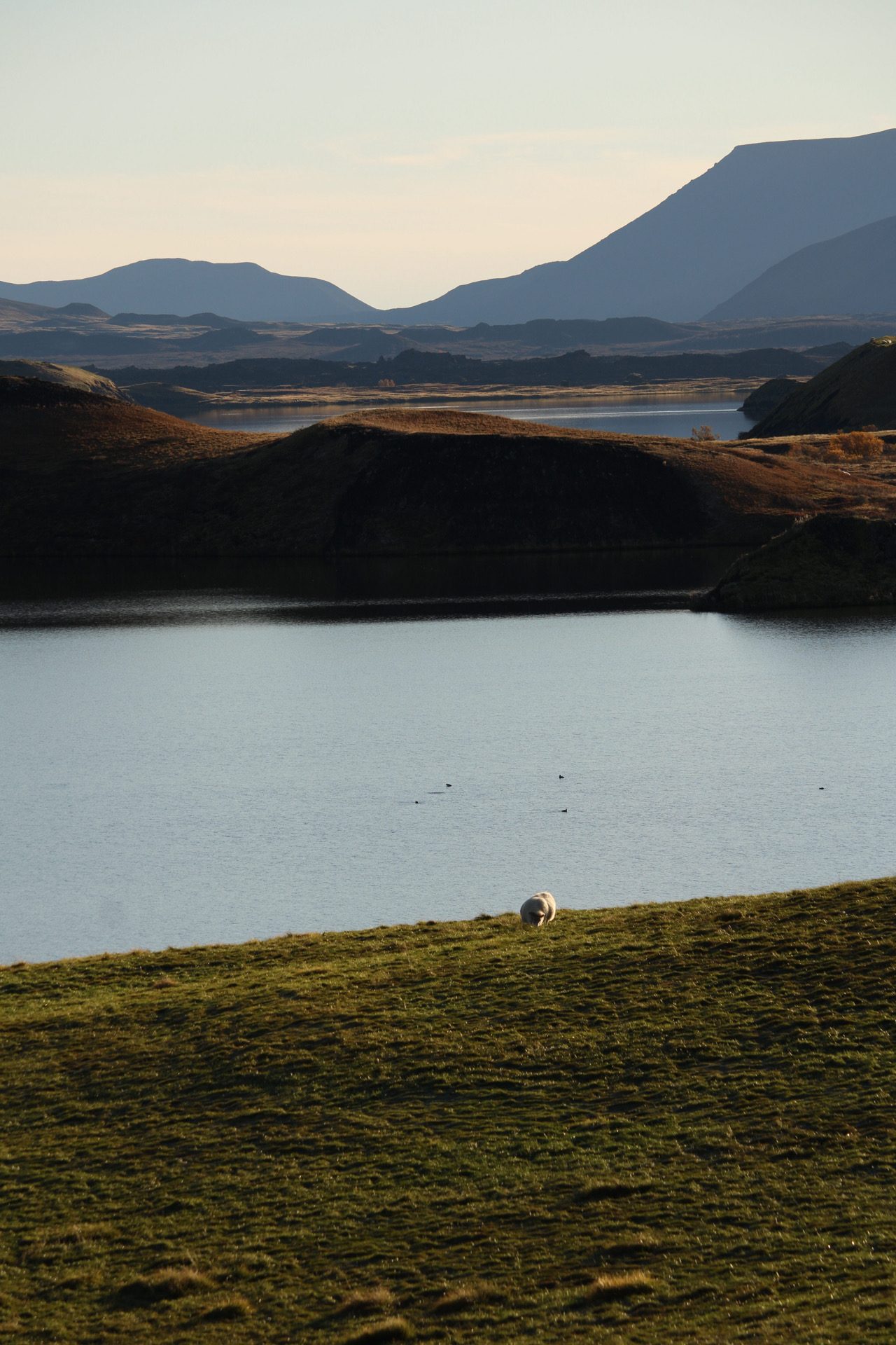 Lake Mývatn area